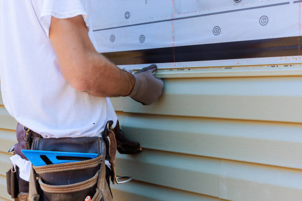 Affordable Siding Repair solutions in Waverly, IL