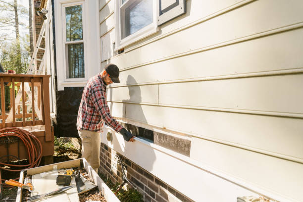 Top rated local Siding Repair specialists in Waverly, IL